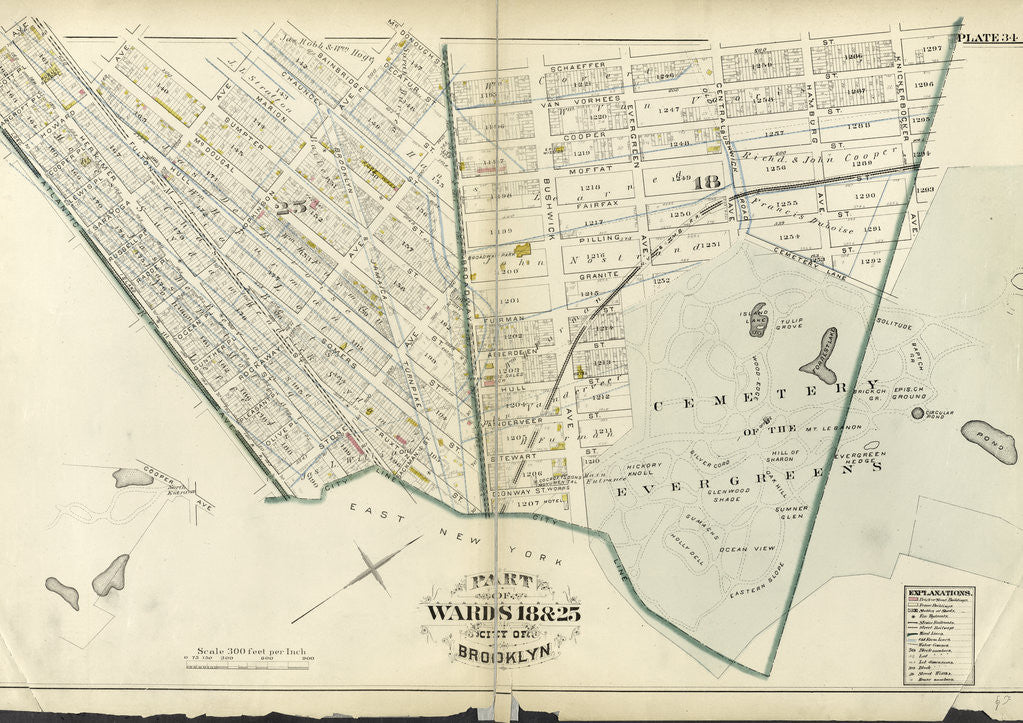 Detail of Part of Wards 23 & 25. City of Brooklyn, New York by Anonymous