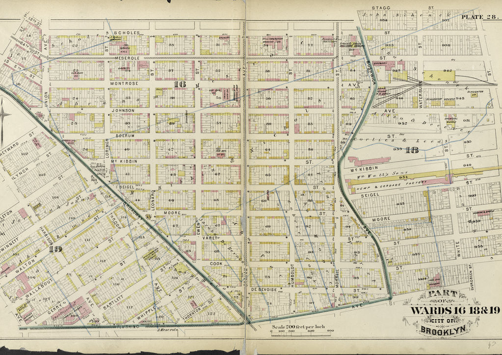 Detail of Part of Wards 16, 18 & 19. City of Brooklyn, New York by Anonymous