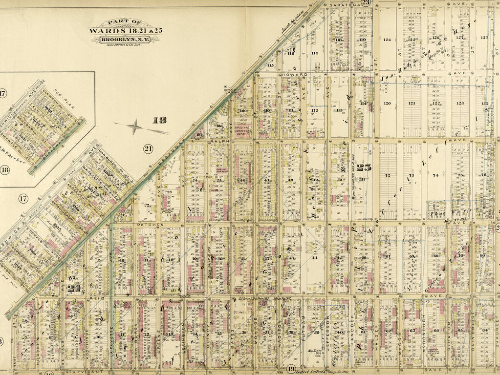 Detail of Part of Wards 18, 21 & 25. Brooklyn, N.Y by Anonymous