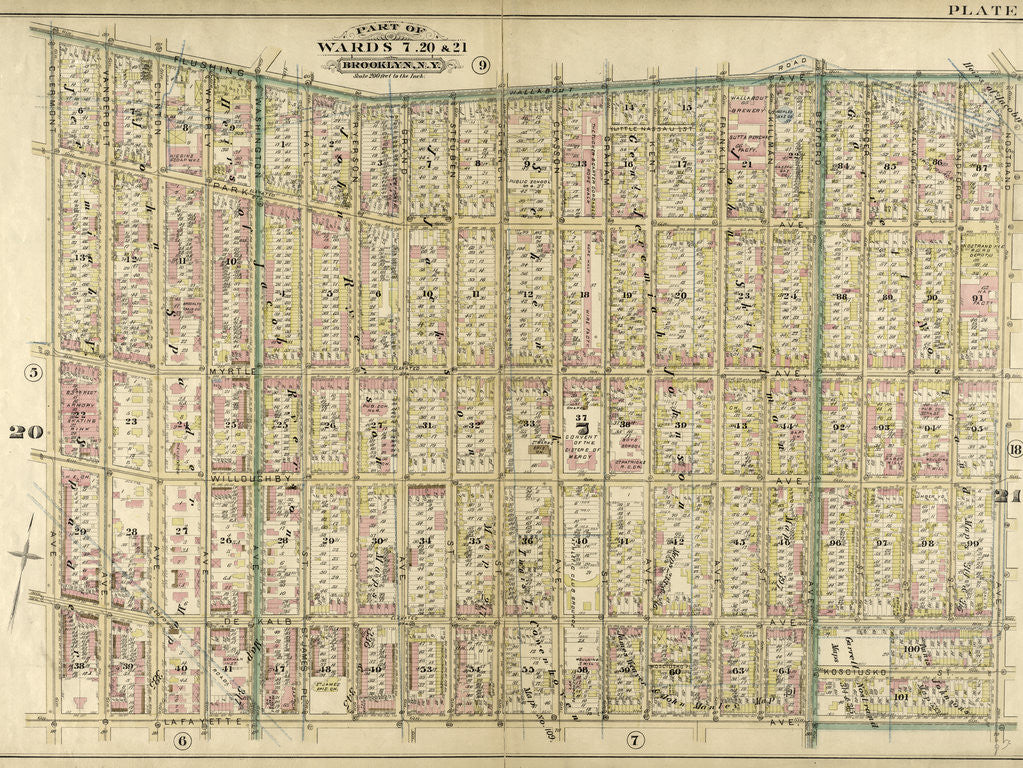 Detail of Bounded by Flushing Wallabout Avenue, Nostrand Avenue, Lafayette Avenue and Clermont Avenue, New York by Anonymous