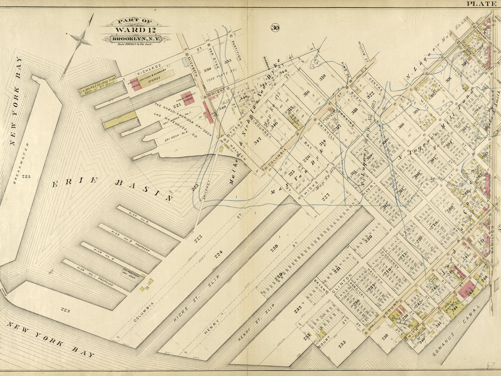 Detail of Bounded by Richards Street, Partition Street, Dwight Street, Bush Street, Columbia Street, Centre Street, Hicks Street, Luquer Street, Henry Street, Nelson Street, Hamilton Avenue, Smith Street, Percival Street, Court Street, Bryant Street, New York by Anonymous