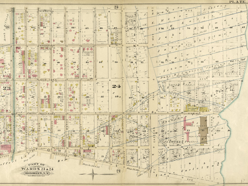 Detail of Bounded by Kingston Avenue, Malabone Street, New York Avenue, Montgomery Street, Rogers Avenue, Crown Street, Bedford Avenue and Herkimer Street, New York by Anonymous