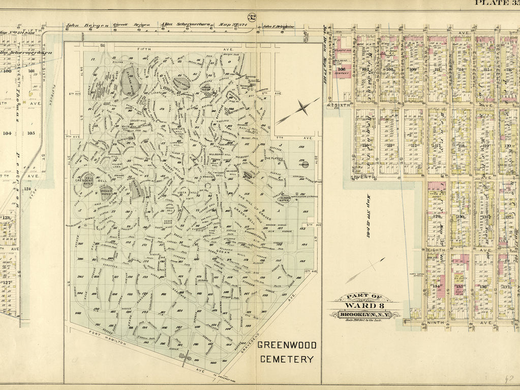 Detail of Part of Ward 8. Brooklyn, N.Y by Anonymous