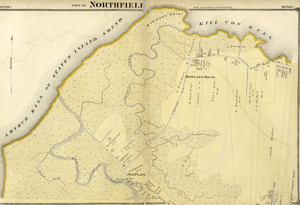 Detail of Section by Anonymous