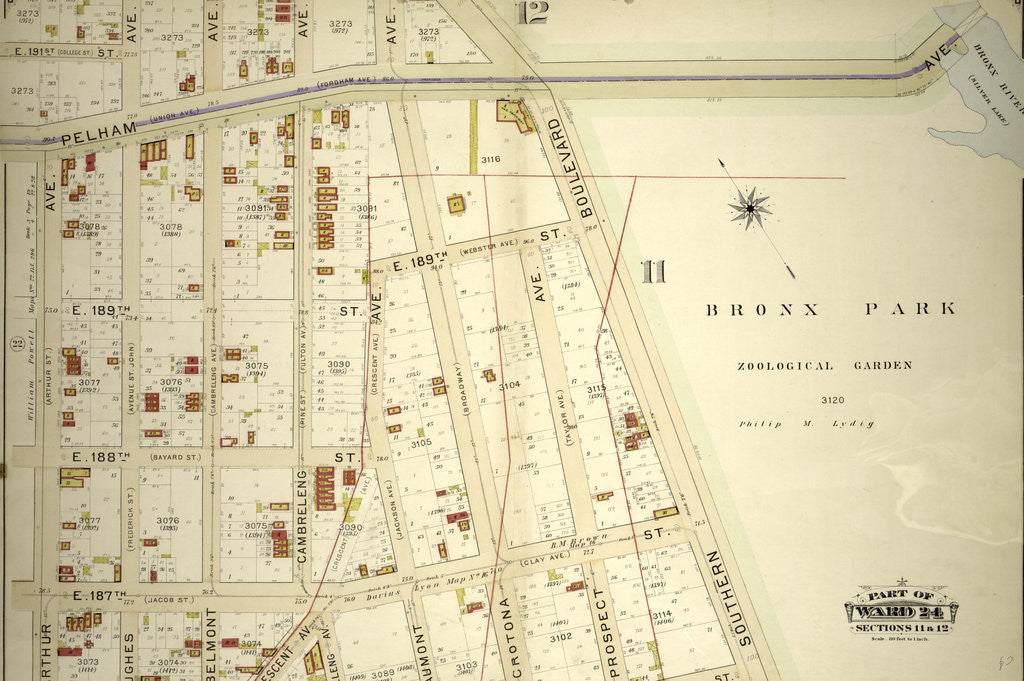 Detail of Part of Ward 24, Section 11. Bounded by Pelham Avenue Bronx Park, Southern Boulevard, E. 185th Street, Cambreleng Avenue, Crescent Avenue by Anonymous