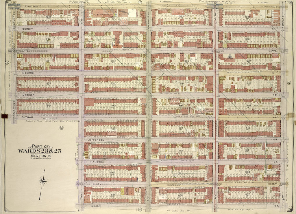 Detail of Map bounded by Lexington Ave., Patchen Ave., Macon St; IncludingLewis Ave., Putnam Ave., Sumner Ave., New York by Anonymous
