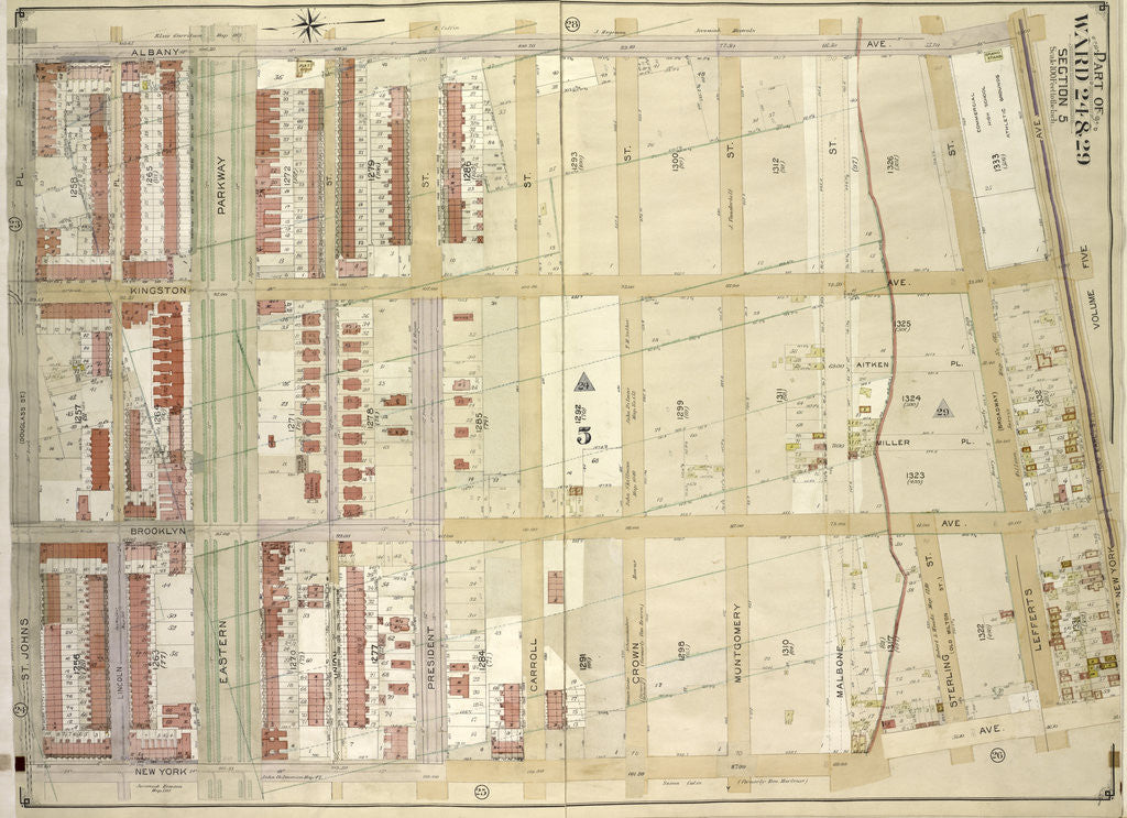 Detail of Map bounded by Albany Ave., East New York Ave. Old Earl St; IncludingNew York Ave., St. Johns PL. Douglass St., New York by Anonymous
