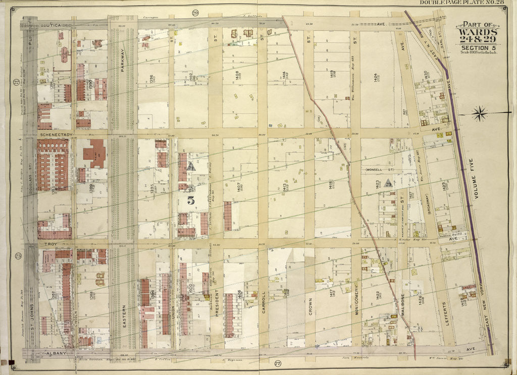Detail of Map bounded by Utica Ave., East New York Ave. Earl St; IncludingAlbany Ave., St. Johns PL. Douglass St., New York by Anonymous