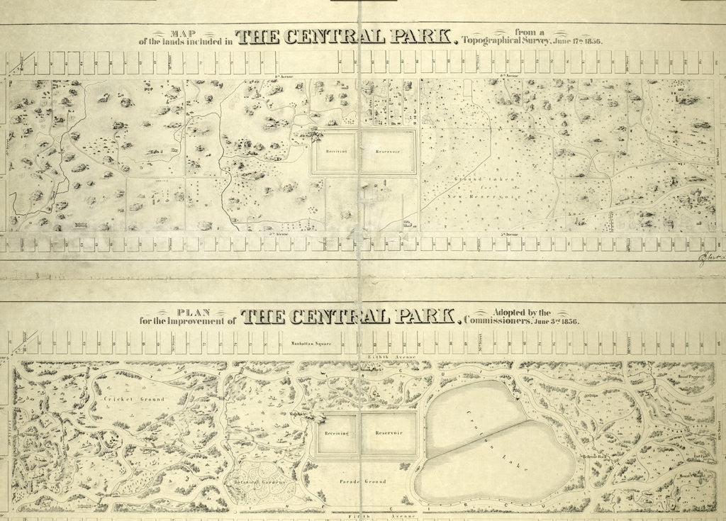 Detail of Map of the lands included in the Central Park, from a topographical survey, June 17th, 1856; Also: Plan for the improvement of the Central Park, adopted by the Commissioners, June 3rd, 1856, New York by Anonymous