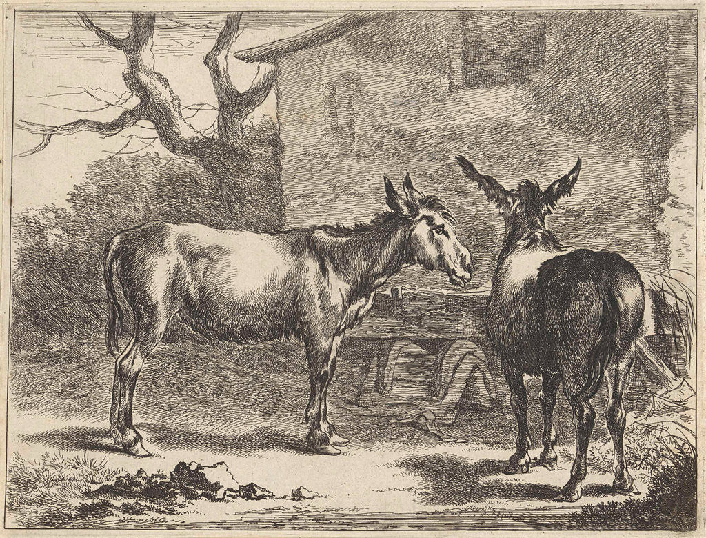 Detail of Two donkeys in a manger by Nicolaes Pietersz. Berchem