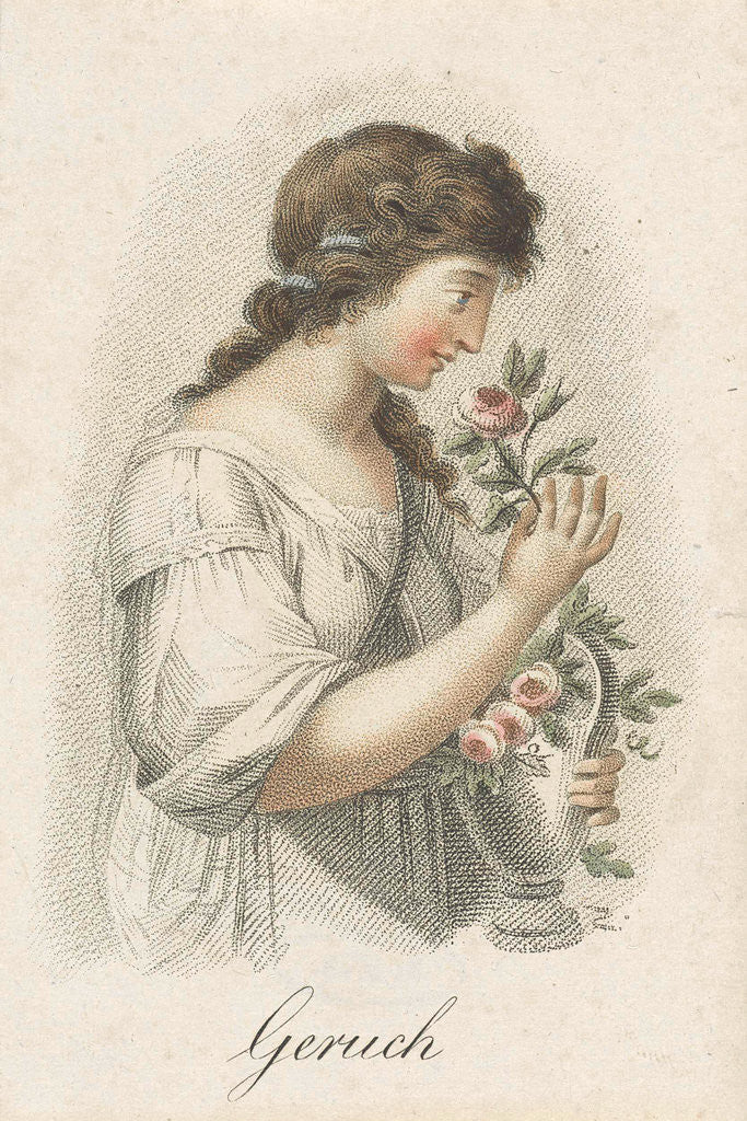 Detail of Odor, Ludwig Gottlieb Portman by Schiavonetti