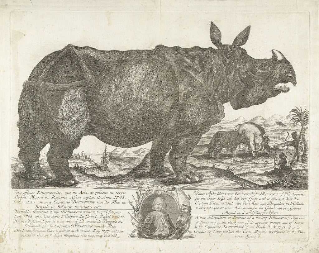 Detail of The rhinocerus Clara, 1741 by Johann Georg Schmidt