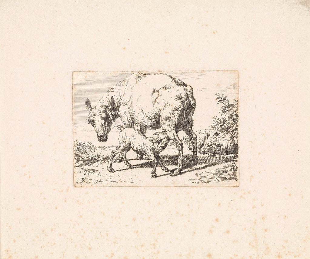 Detail of Goat suckling her young by Adriaen van de Velde