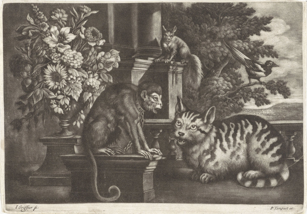 Detail of Monkey, cat, squirrel and magpie by Pierce Tempest