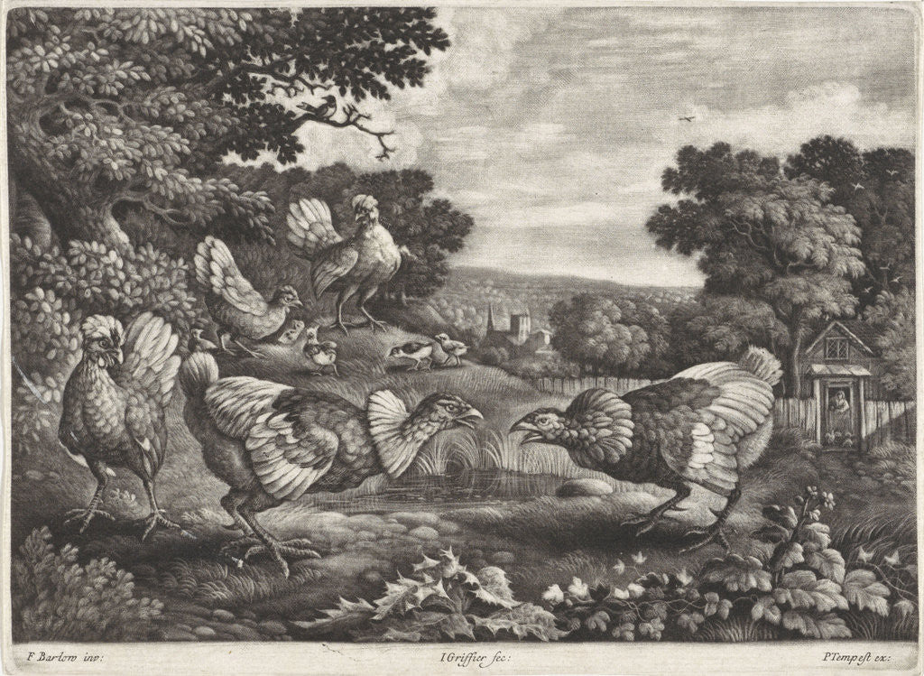 Detail of Fighting chickens by Pierce Tempest