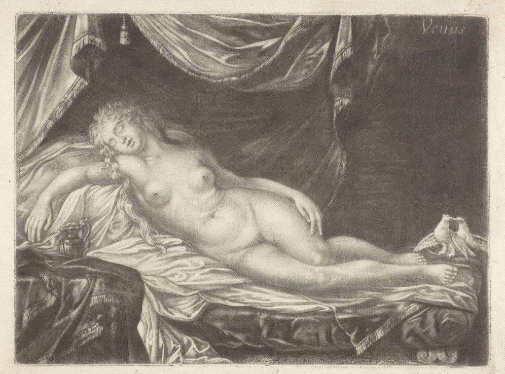 Detail of Sleeping Venus by Jacob Gole