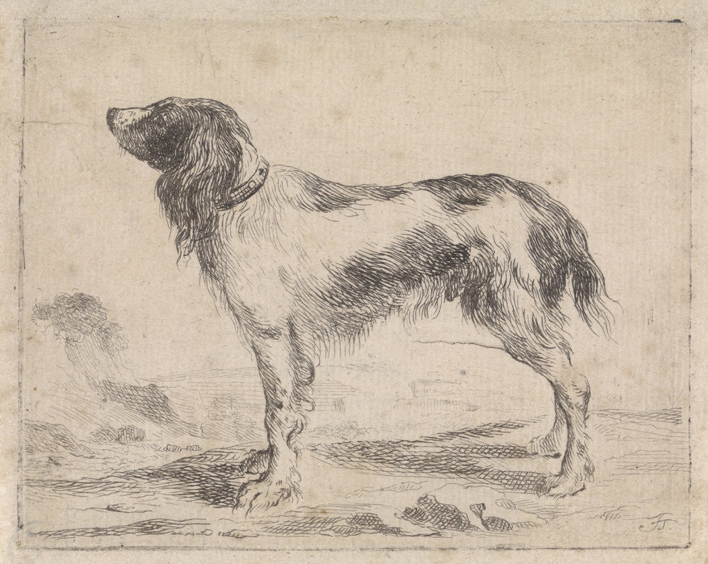 Detail of Standing dog by Jacob Toorenvliet