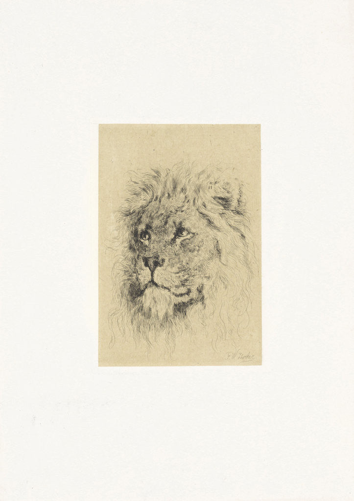 Detail of Head of a lion by Frederick Willem Zurcher