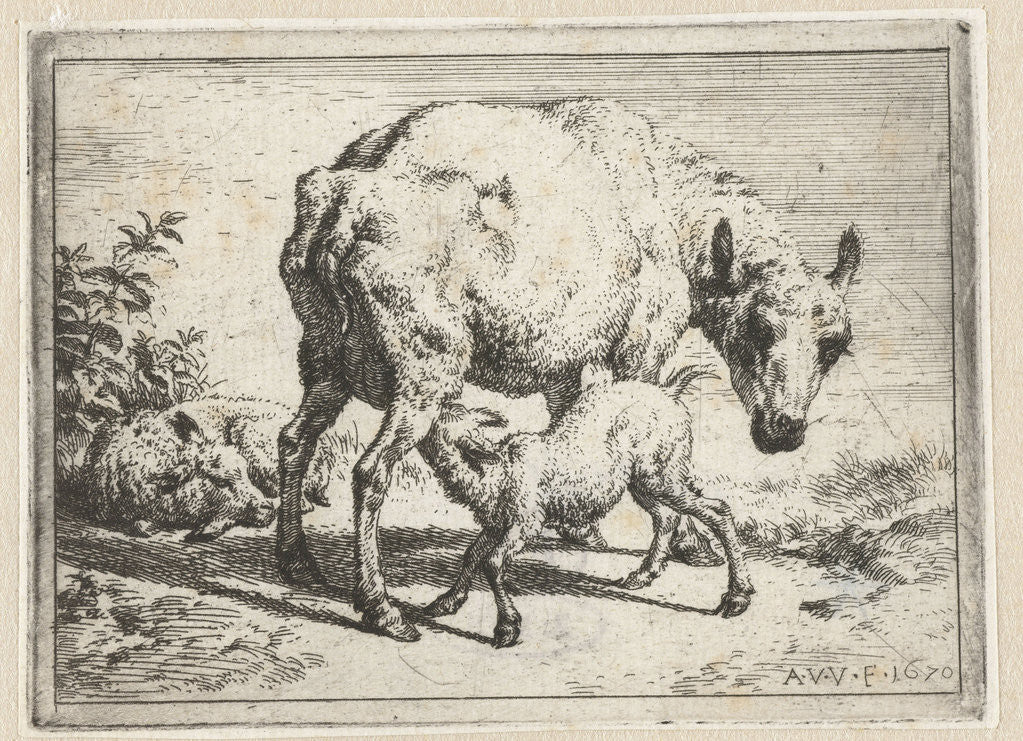 Detail of Ewe with two lambs by Adriaen van de Velde