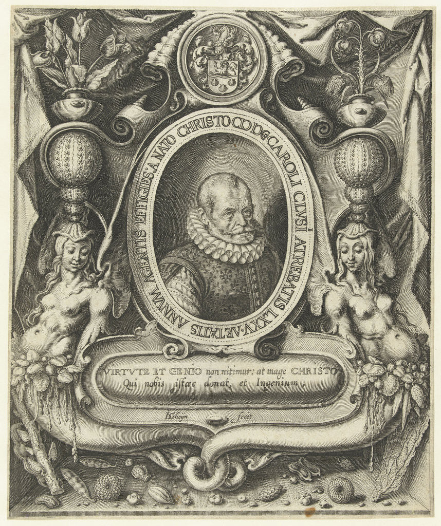 Detail of Portrait of Carolus Clusius at the age of 75 by Jacob de Gheyn II
