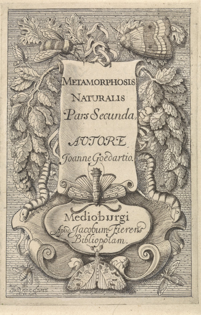 Detail of Title page for Johannes Goedaerts Metamorphosis Naturalis, Part 2 by Johannes Goedaert
