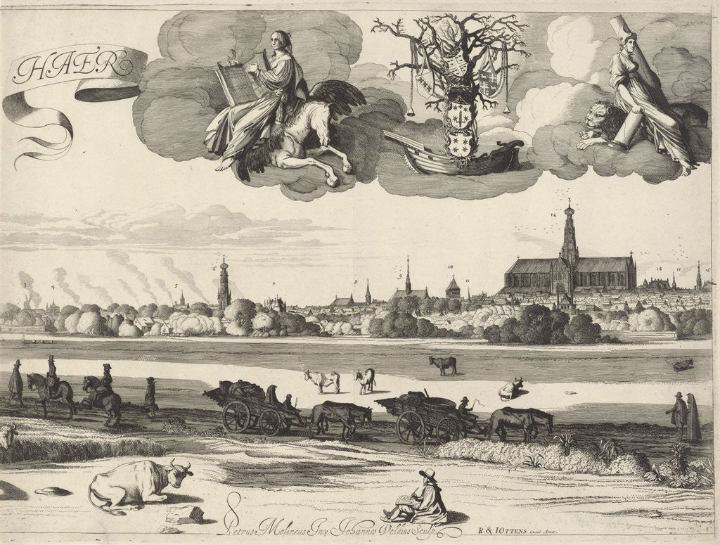 Detail of View of Haarlem by Reinier and Josua Ottens