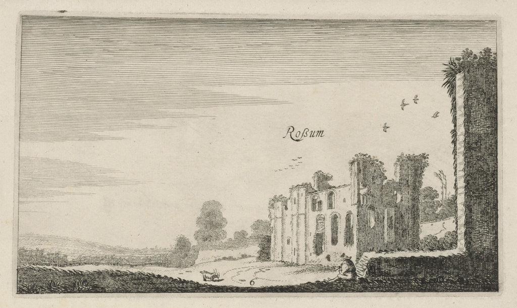 Detail of Ruins of castle Rossum, Maasdriel Bommelerwaard by Robert de Baudous