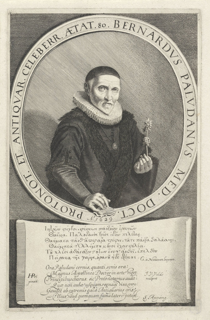 Detail of Portrait Bernard Paludanus by G. à Nieuwenhuysen