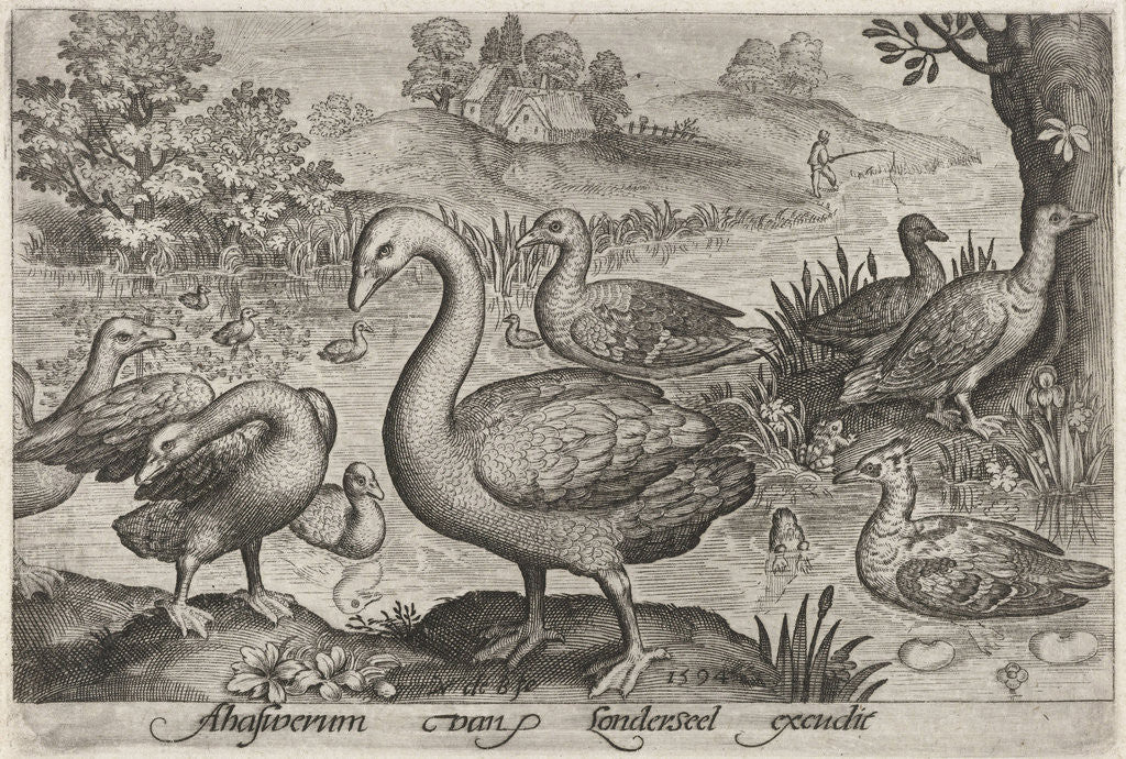 Detail of Swan and geese and ducks near to water by Nicolaes de Bruyn