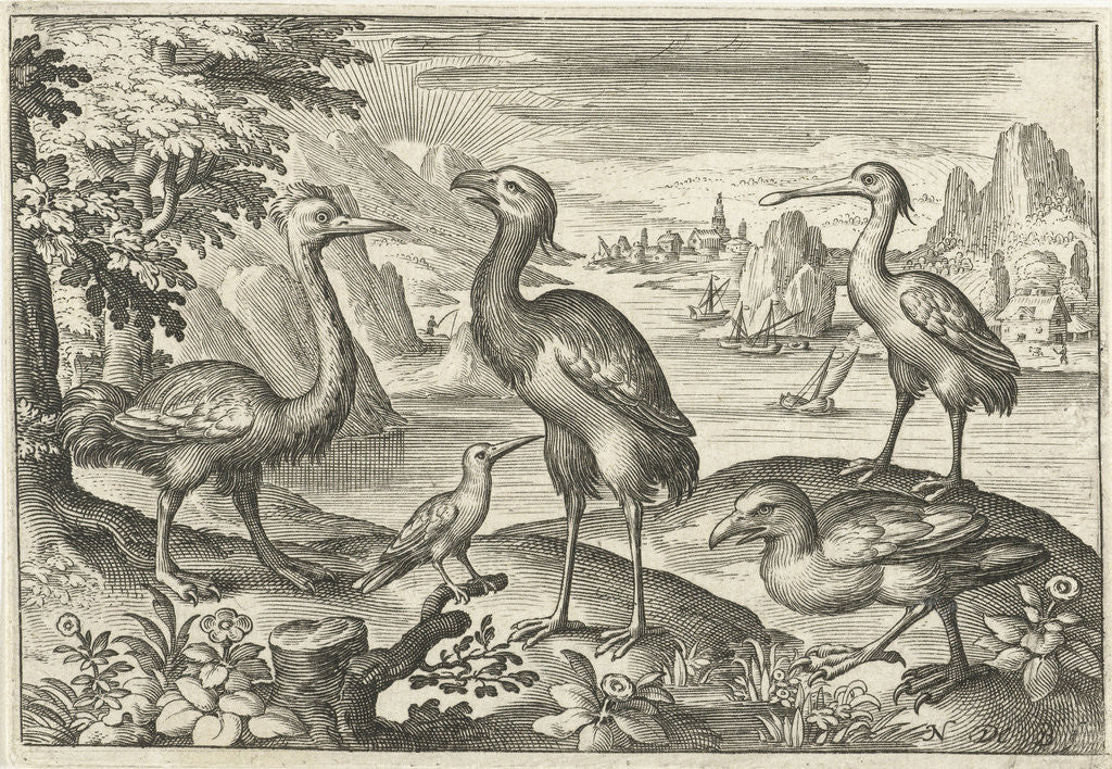 Detail of Five birds including spoonbill by Nicolaes de Bruyn