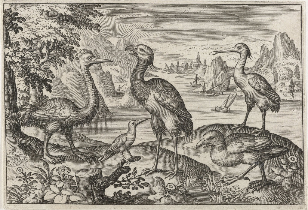 Detail of Crowned Crane between two ostriches by Nicolaes de Bruyn