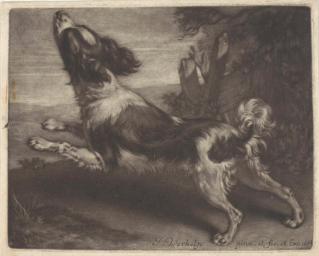 Detail of Racing dog, possibly a spaniel by Jan Verkolje I