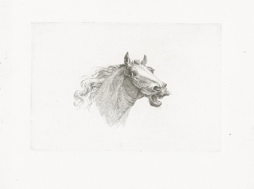 Detail of Horse head with open mouth, right by Gerrit Malleyn