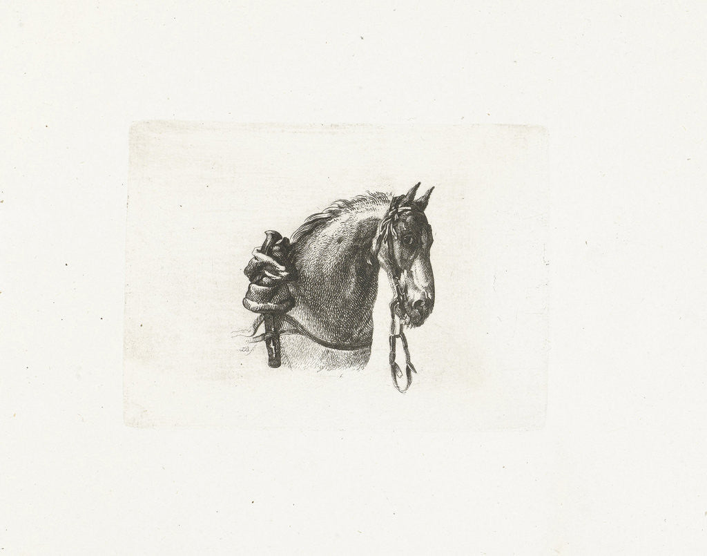 Detail of Horse head, right by Dirk Langendijk