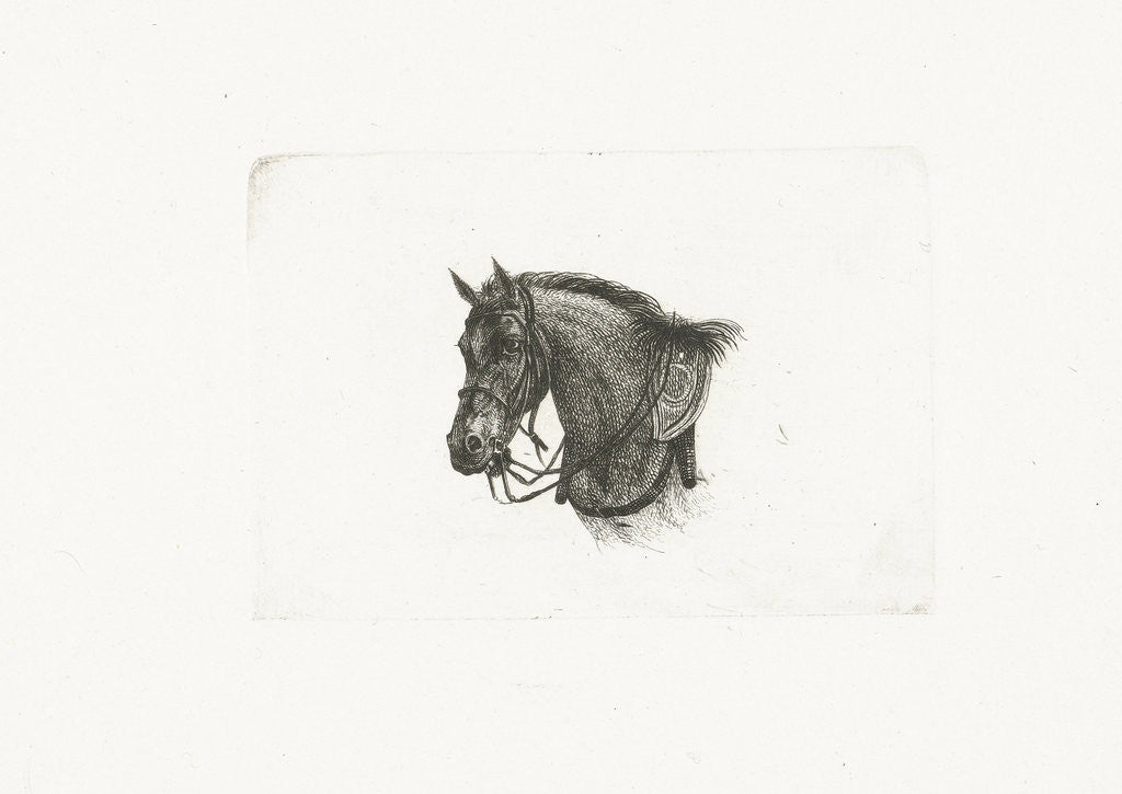 Detail of Horse Head in slightly bent position to the left by Dirk Langendijk