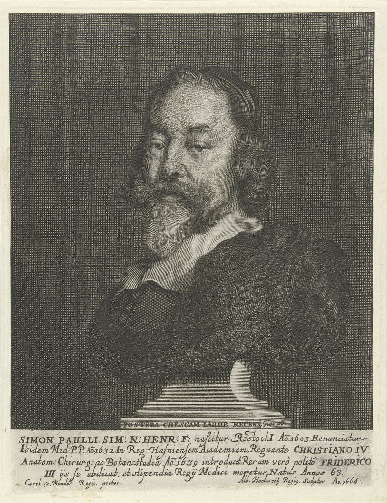 Detail of Bust of Simon Paulli by Albert Haelwegh