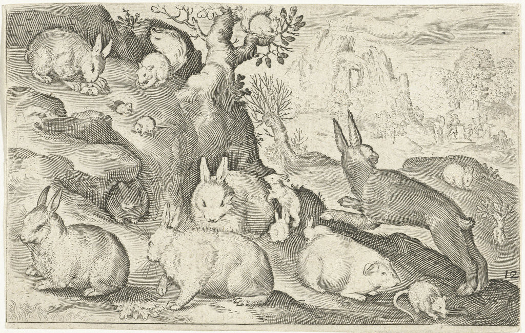 Detail of rabbits, squirrel, guinea pig and mouse by Nicolaes de Bruyn
