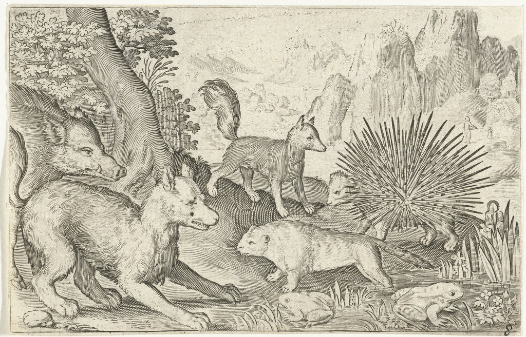 Detail of Wild boar, fox, beaver, porcupine and frogs by Nicolaes de Bruyn