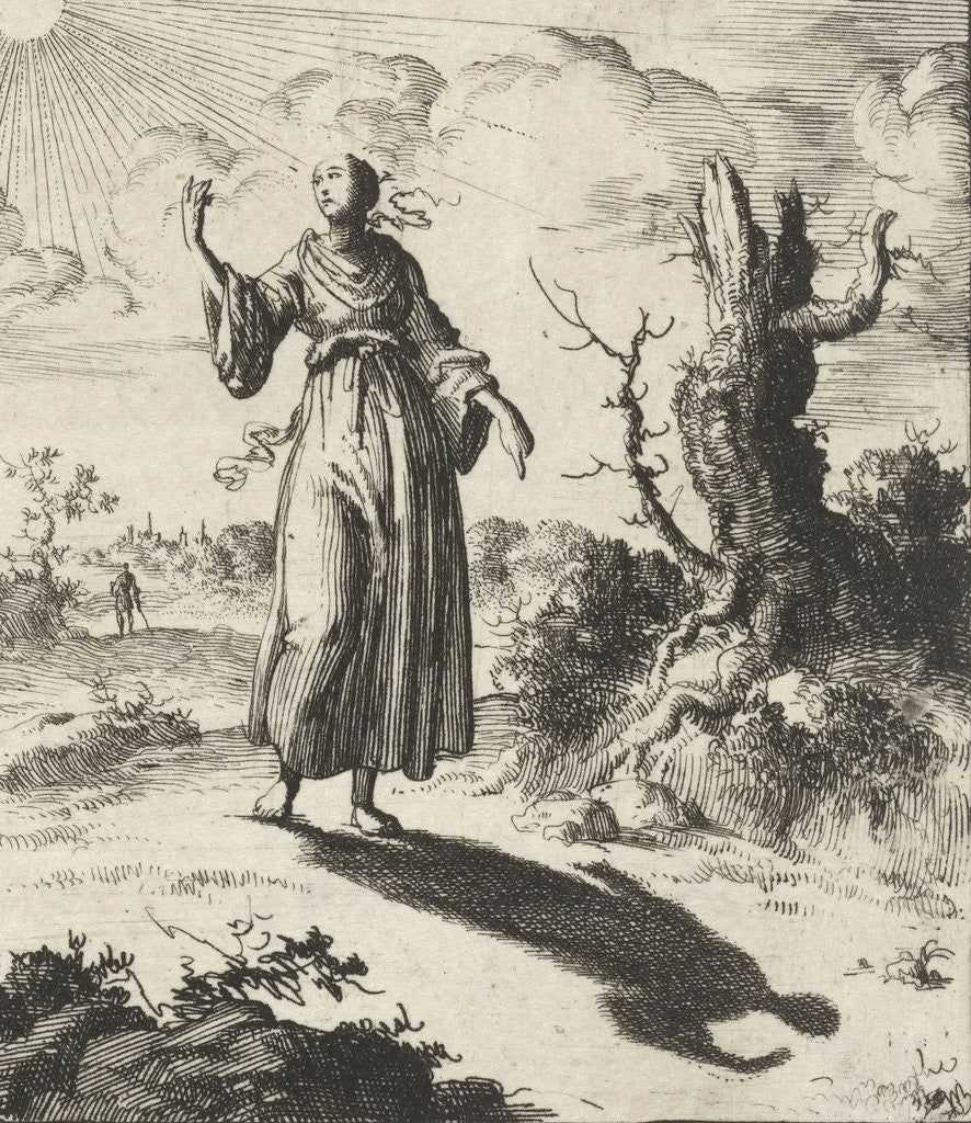 Detail of Female beholds her own shadow by Pieter Arentsz II