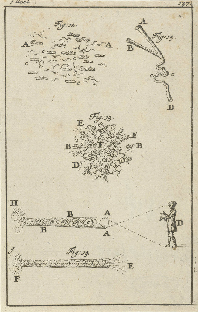 Detail of Four representations regarding seeing by Jan Claesz ten Hoorn