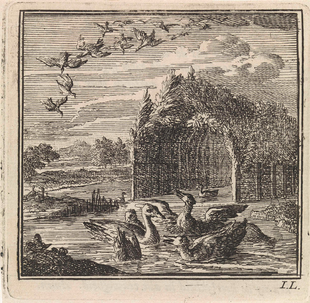 Detail of Wild and domestic ducks by Pieter Arentsz & Cornelis van der Sys II