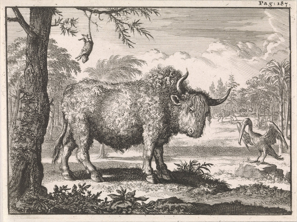 Detail of Bison, opposum and a pelican in an exotic landscape by Willem Broedelet