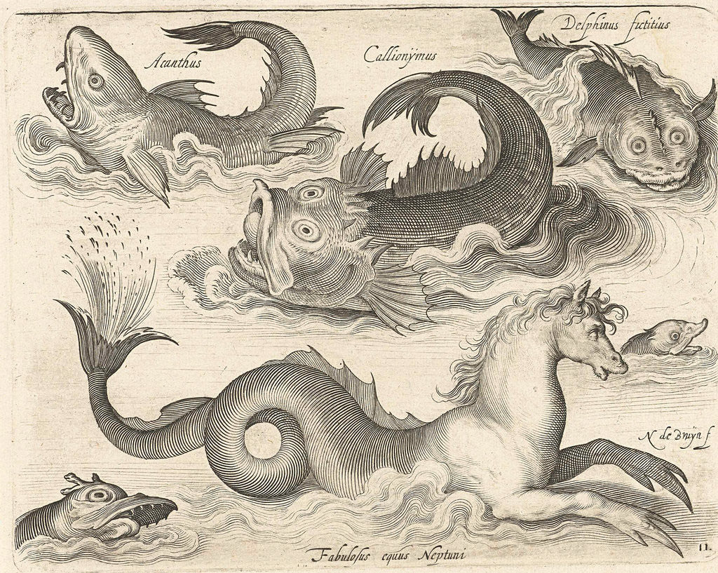 Detail of Fantastic invertebrates, including a seahorse by Nicolaes de Bruyn