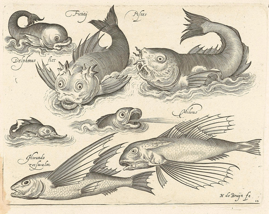 Detail of Fantastic invertebrates, including dolphin and dragonet by Nicolaes de Bruyn