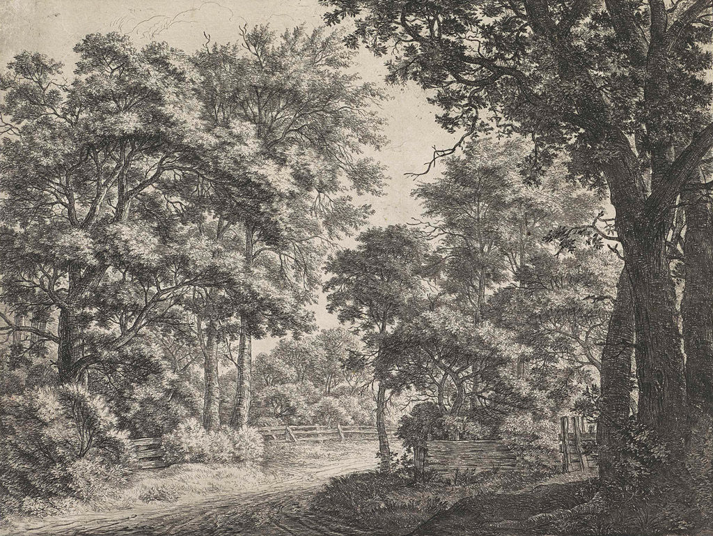 Detail of Large trees on either side of a path by Anthonie Waterloo