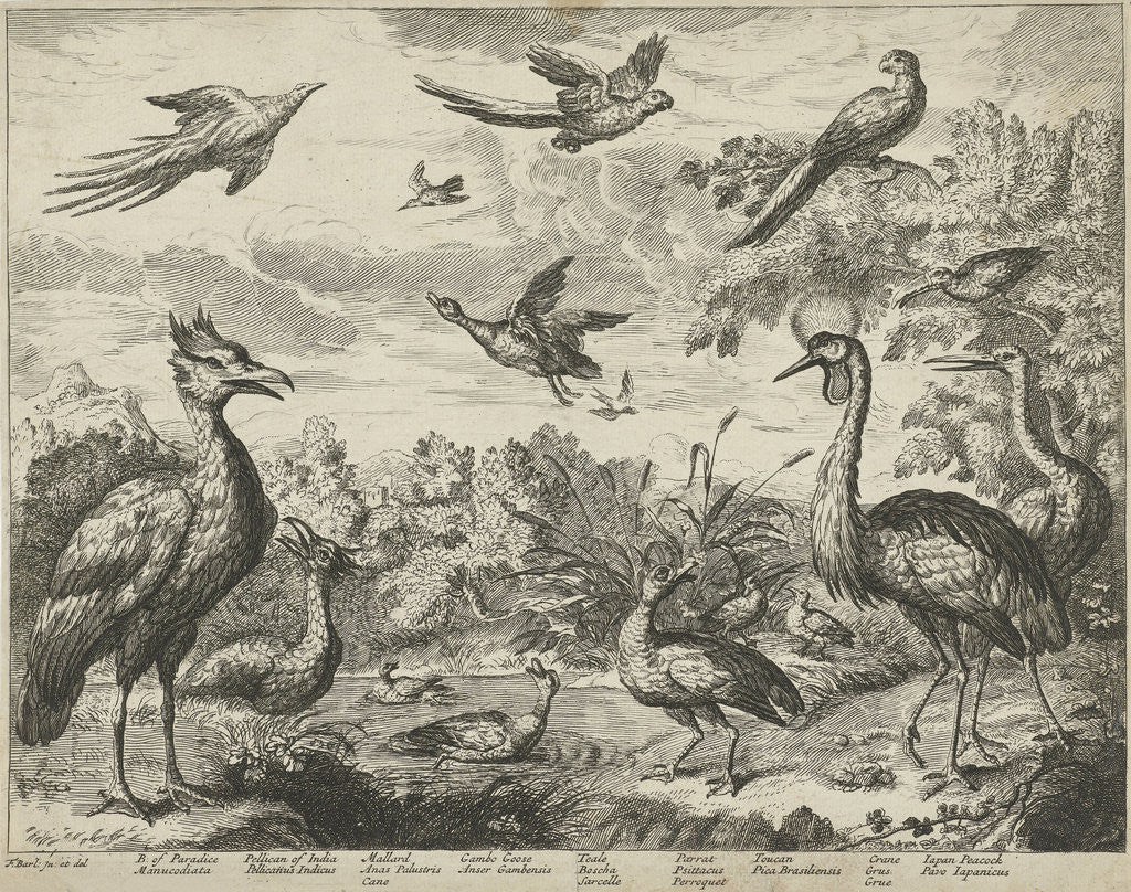 Detail of Several birds in a landscape by Francis Barlow