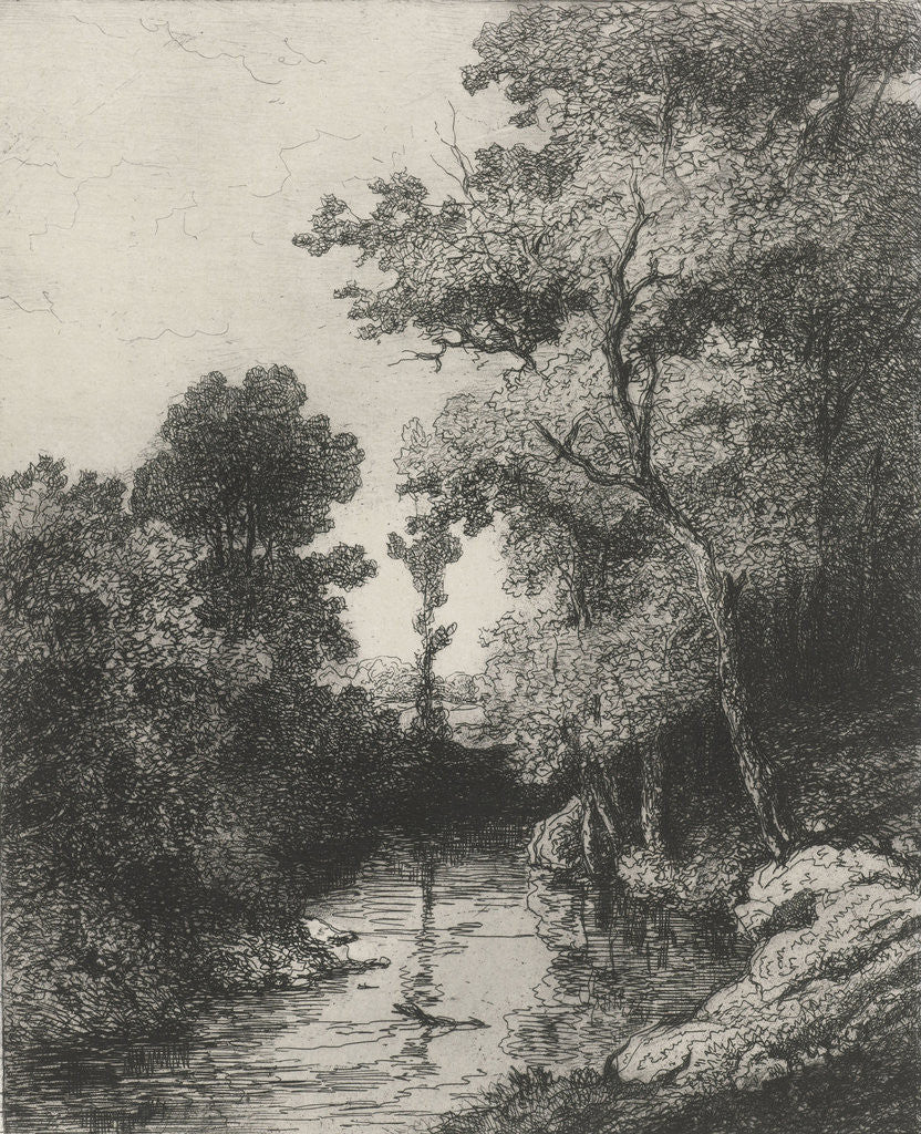 Detail of Creek by Willem Roelofs I