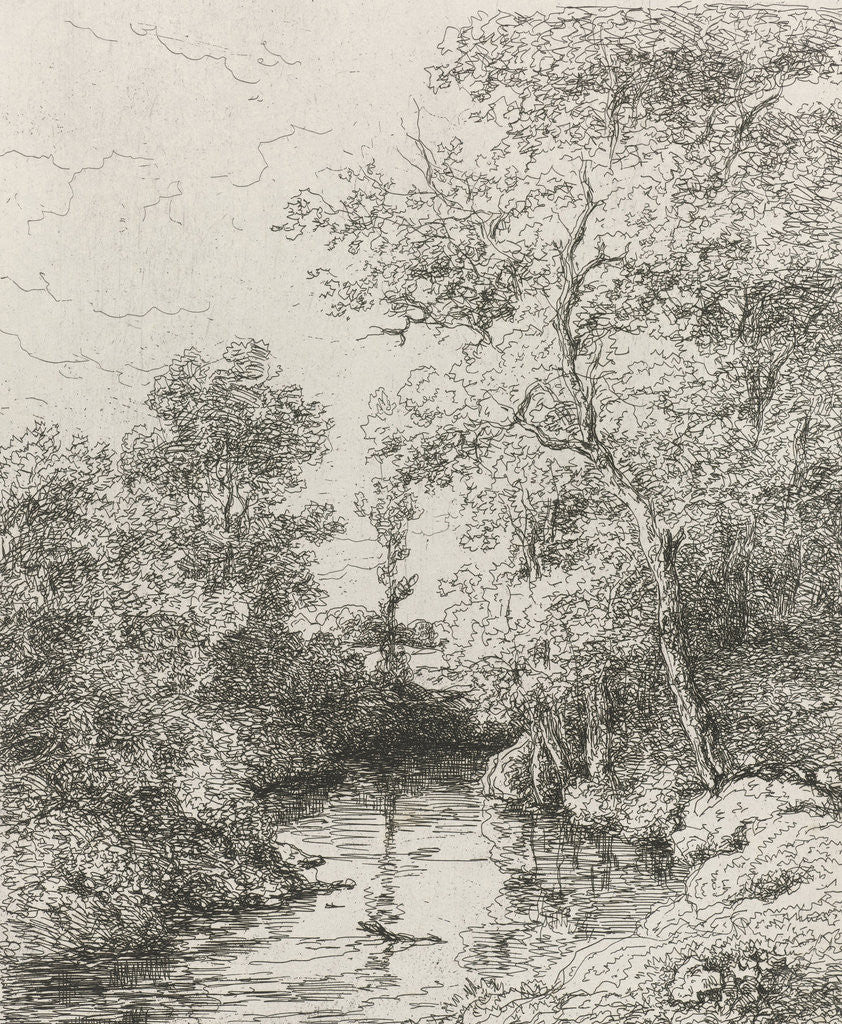Detail of Creek by Willem Roelofs I
