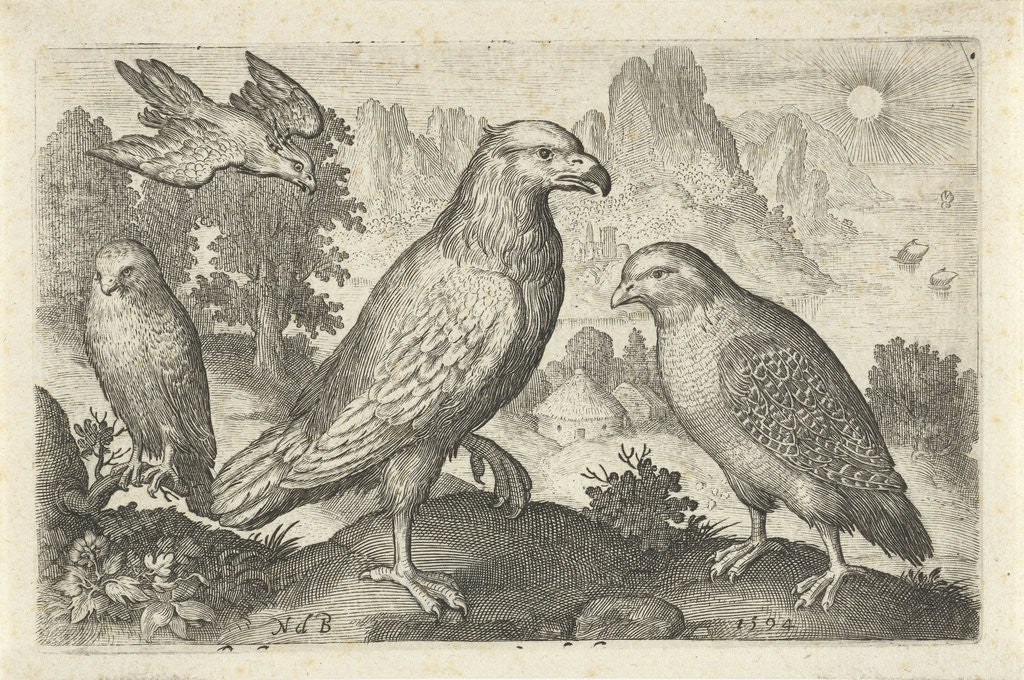 Detail of Eagle and other birds of prey by Nicolaes de Bruyn