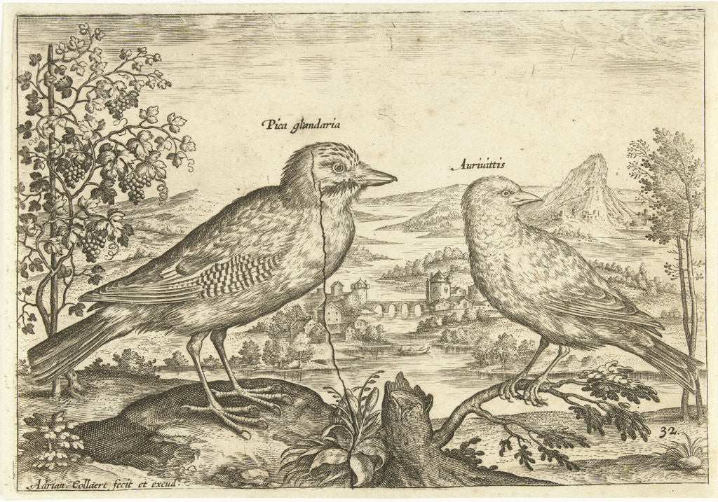 Detail of Two birds in a landscape by Adriaen Collaert